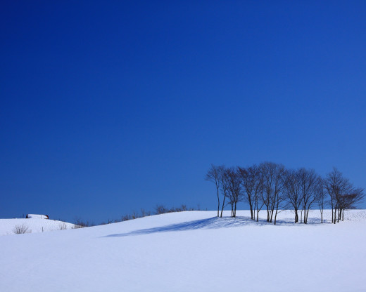 49420 (a): :1280x1024